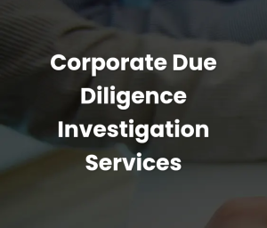 Corporate Due diligence investigation services 